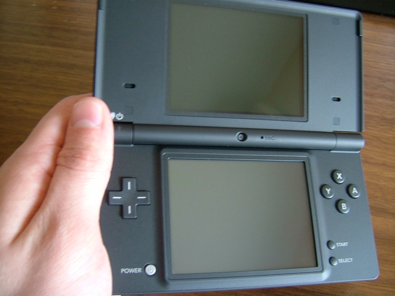 Illustration for article titled One of You Will Get This Nintendo DSi